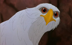 Marahute (The Rescuers Down Under)