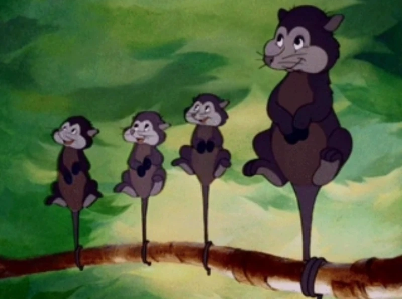 Possums