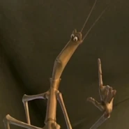 Slim-VidaDeInseto.jpg (37 kB) Slim (Vida de Inseto)