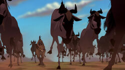 Wildebeests | Disney Wiki | Fandom