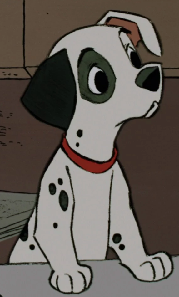 Dalmatian (dog) - Wikipedia