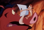 Pumbaa comments to Timon that Canada photo looks familiar
