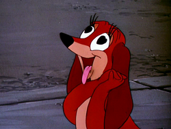 Pluto the wonder dog sale