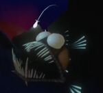 Anglerfish DI3