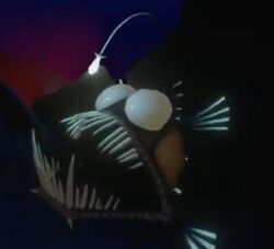 finding nemo anglerfish gif