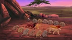 Lion-king2-disneyscreencaps.com-8890.jpg (340 KB)