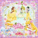 Disney Princess Garden of Beauty 12