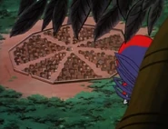 Anansi watching over Kara Digi