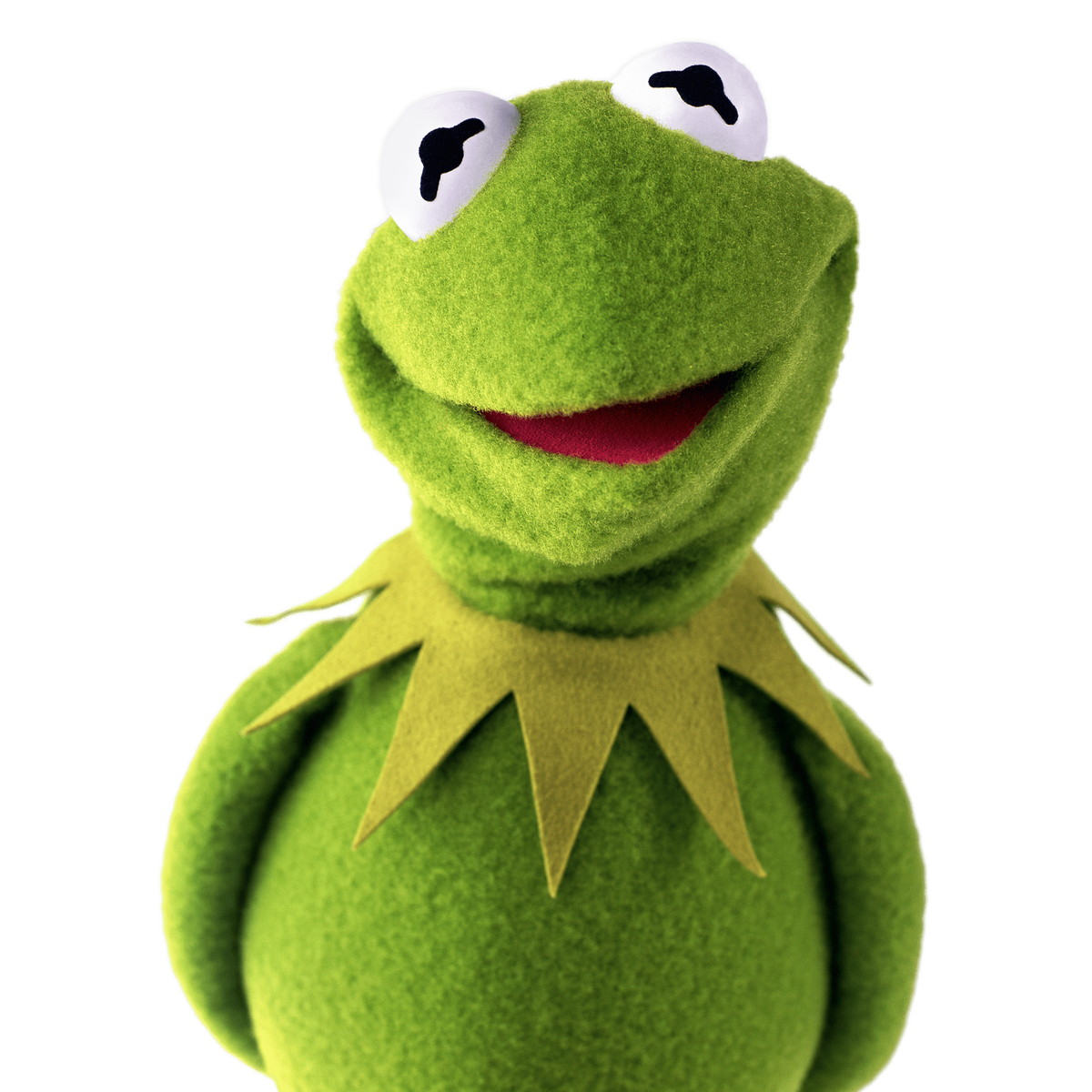 Peace Frog - Wikipedia