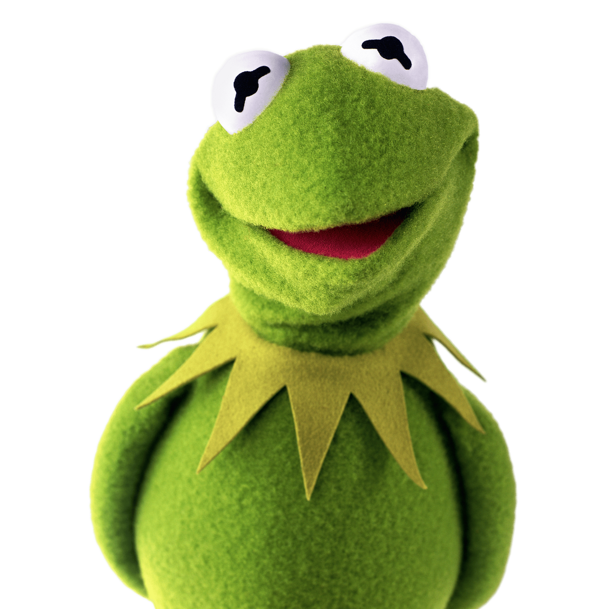 Kermit the Frog, Disney Wiki