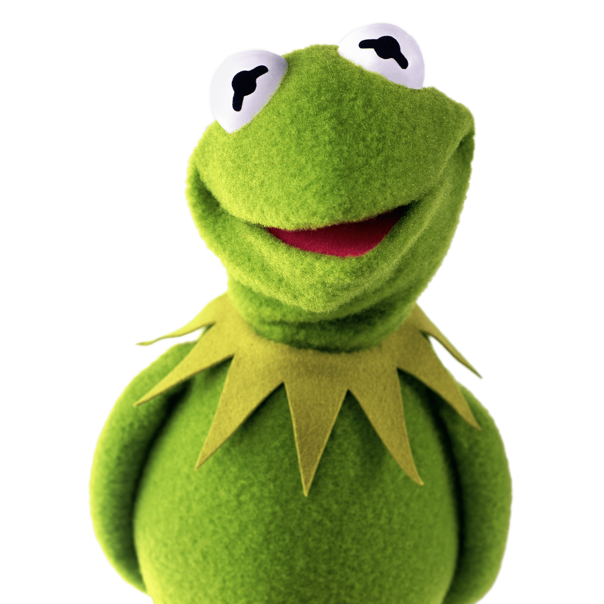 Kermit The Frog Disney Wiki Fandom