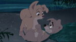 Lady-tramp-2-disneyscreencaps.com-4557