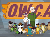 Organization Without a Cool Acronym