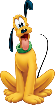 Lucky pluto flea and tick collar outlet