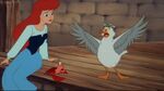 Scuttle tells Ariel and Sebastian the truth