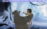 Rare production cel of Baloo with Mowgli in his clutches.