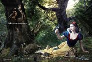 Snow White in "Where You Are the Fairest of them All" from the Disney Dream Portrait Series