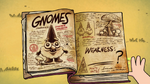 Book gnomes