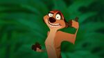 Disney's The Lion King - Timon - Very Nice