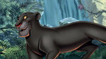 Msf jungle book cmi bagheera-01