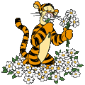 Tigger flowers