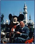 Walt Disney 5
