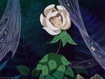 Alice-disneyscreencaps com-3339.jpg (312 KB) White Rose