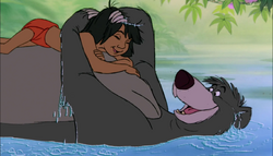 Baloo and Mowgli bonding.
