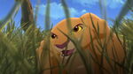 Lion-king2-disneyscreencaps.com-721