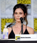 Annable speaks at the 2017 San Diego Comic Con.
