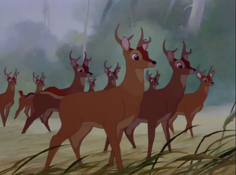 Young Bucks