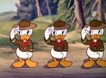 Huey, Dewey and Louie in "Good Scouts"