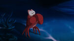 Sebastian blown away by Ariel's collection
