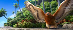 Moana Trailer Maui Bird