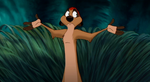 Timon shocked at hearing his voice echo throughout the jungle.