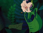 Alice-in-wonderland-disneyscreencaps.com-3545