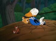 Donald Duck All In A Nutshell (1949)15