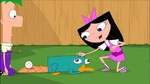 Isabella petting Perry the Platypus