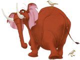 Tantor