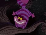 Cheshire Cat