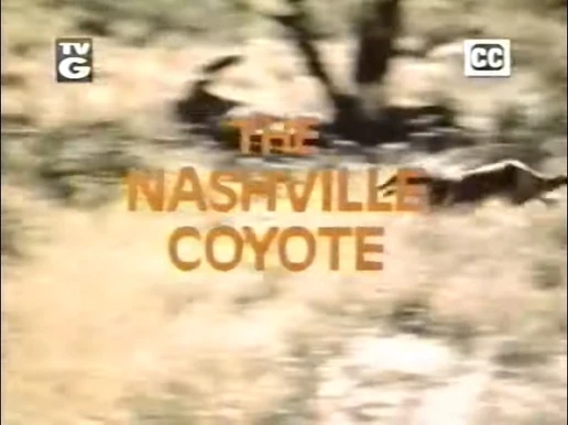 Nashville coyote title
