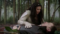 Charming and Snow back in the Enchanted Forest.