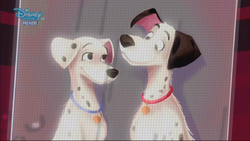 Pongo Perdita In 101DalmatianStreetDL