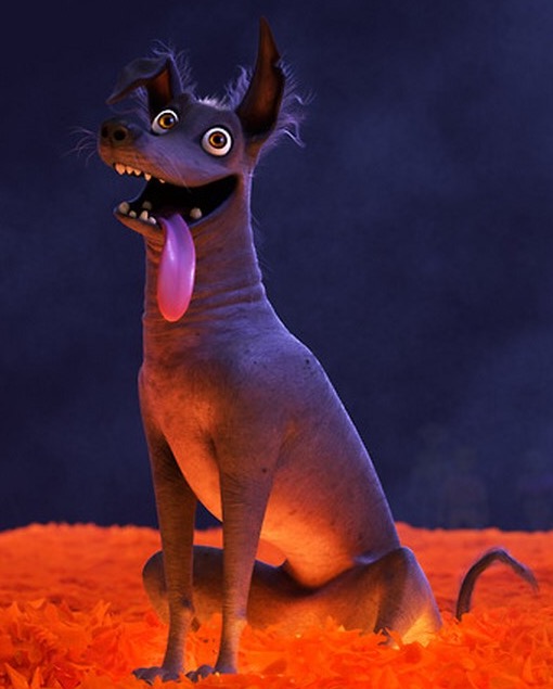 coco film dog