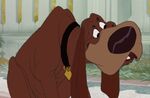 Trusty (Lady and the Tramp read-along)
