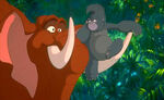 Tantor terk tarzan 001