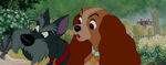 Lady-tramp-disneyscreencaps.com-1288