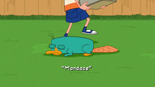 Mandace title card