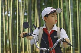 RaymondBao906