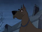 "It's Pongo! Regents Park! It's an all-dog alert!"